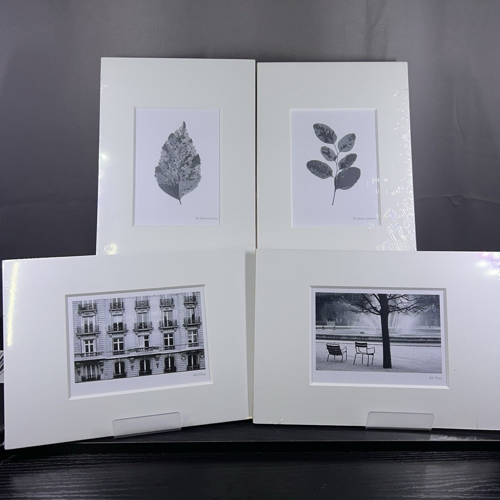 IKEA BILD FJALLSTA Photographic Print Art (4x) Matted B&W Art 11.75" x 8.25"